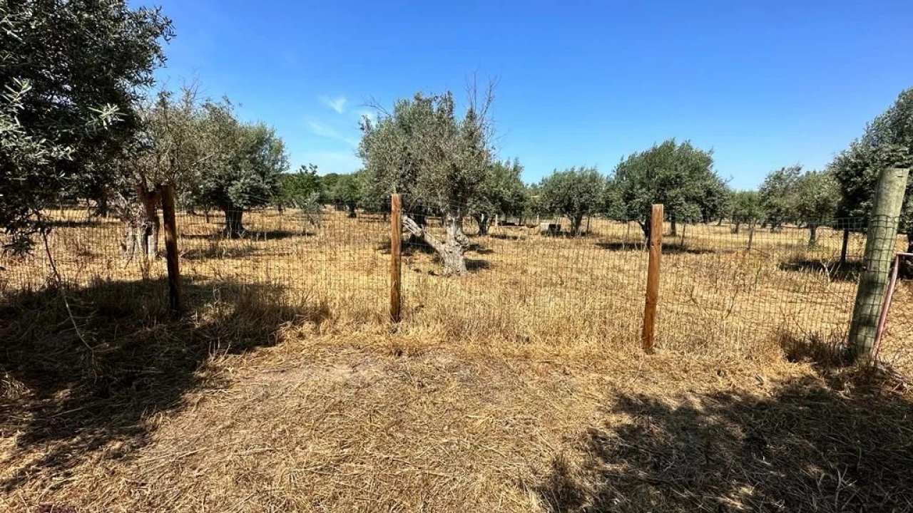 Quinta T2 para Venda em Grândola e Santa Margarida da Serra Foto 17