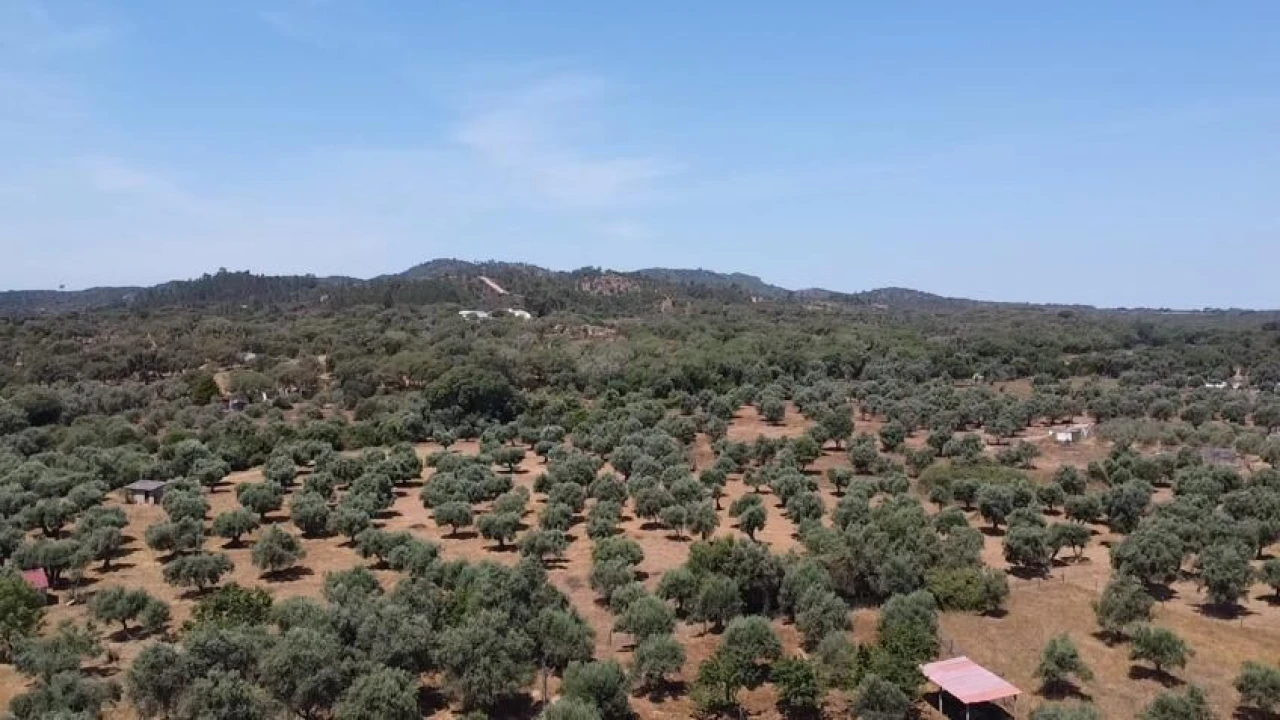 Quinta T2 para Venda em Grândola e Santa Margarida da Serra Foto 20