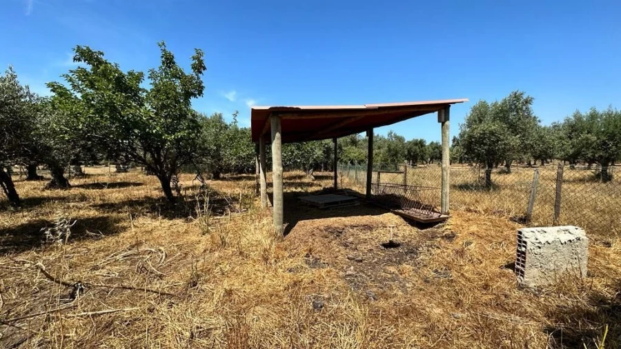 Quinta T2 para Venda em Grândola e Santa Margarida da Serra Foto 15