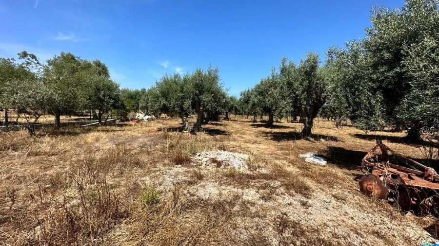 Quinta T2 para Venda em Grândola e Santa Margarida da Serra Foto 16