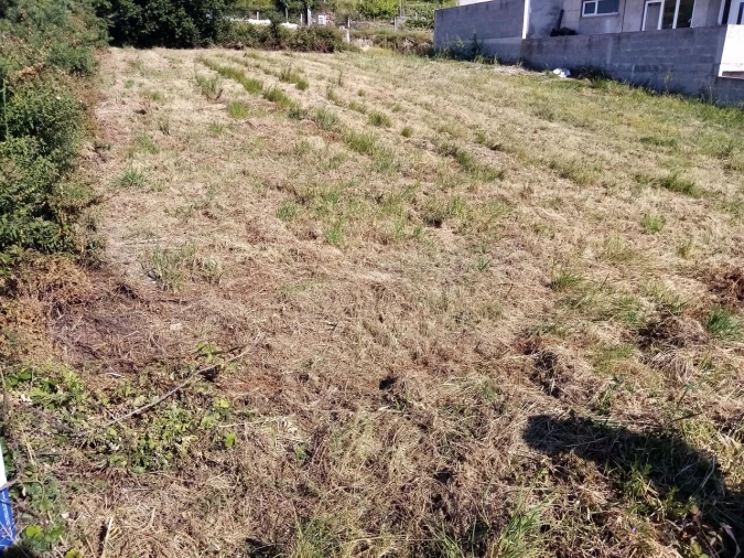 Terreno para Venda em Messegães, Valadares e Sá Foto 3