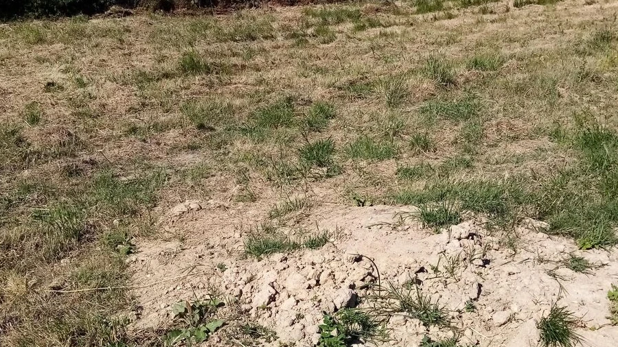 Terreno para Venda em Messegães, Valadares e Sá