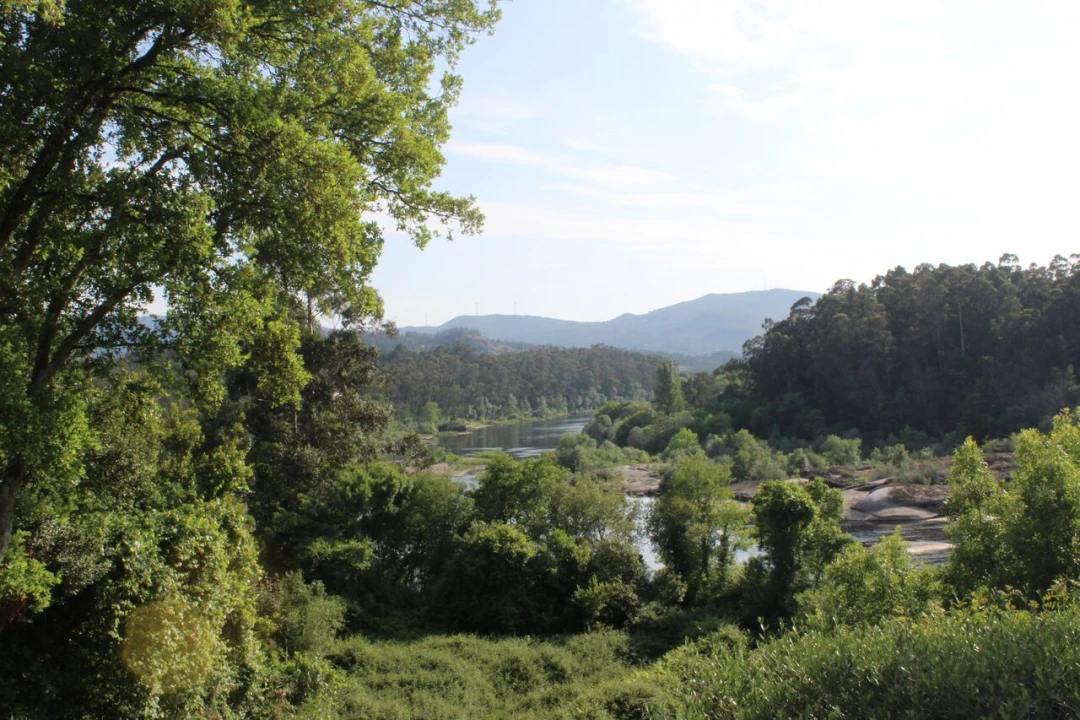 Terreno para Venda em Mazedo e Cortes Foto 9