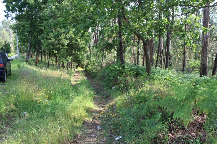 Terreno para Venda em Mazedo e Cortes Foto 2