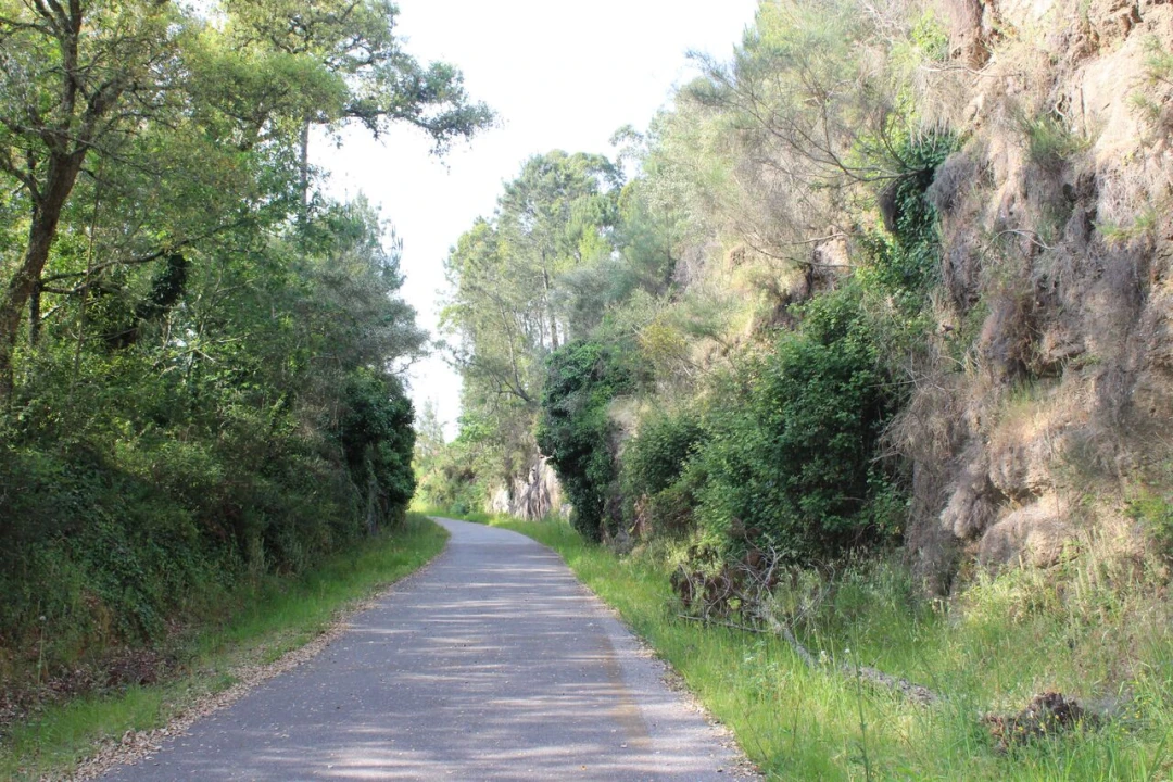 Terreno para Venda em Mazedo e Cortes Foto 8