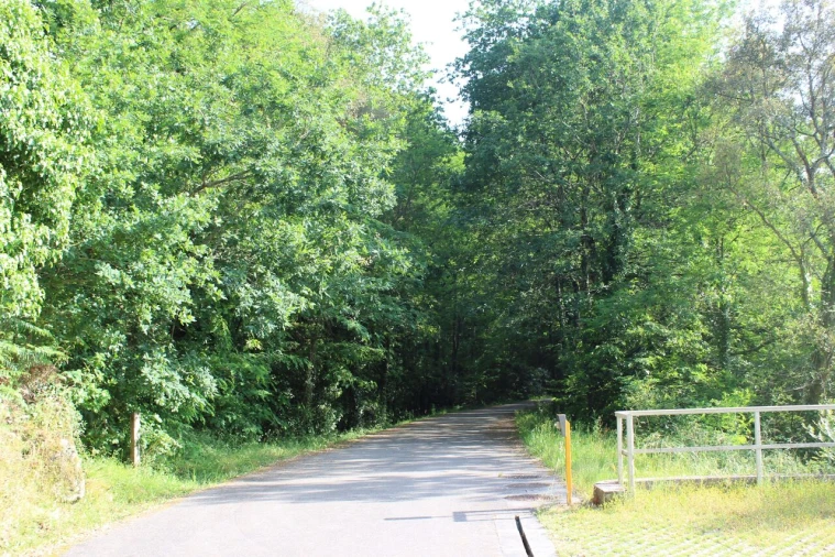 Terreno para Venda em Mazedo e Cortes Foto 7