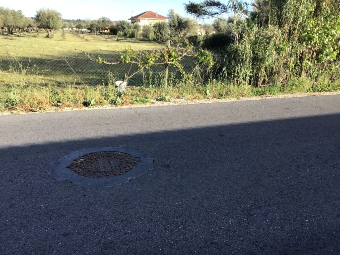 Terreno para Venda em São Miguel do Rio Torto e Rossio Ao Sul do Tejo Foto 3
