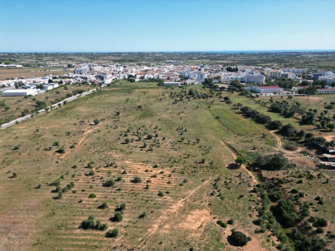 Terreno para Venda em Lagoa e Carvoeiro Foto 6