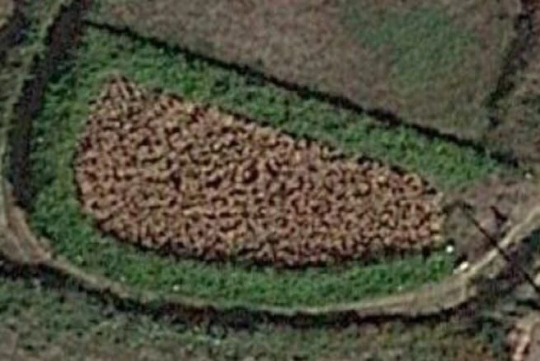 Terreno para Venda em Sago, Lordelo e Parada Foto 1