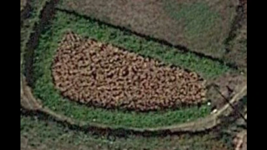 Terreno para Venda em Sago, Lordelo e Parada