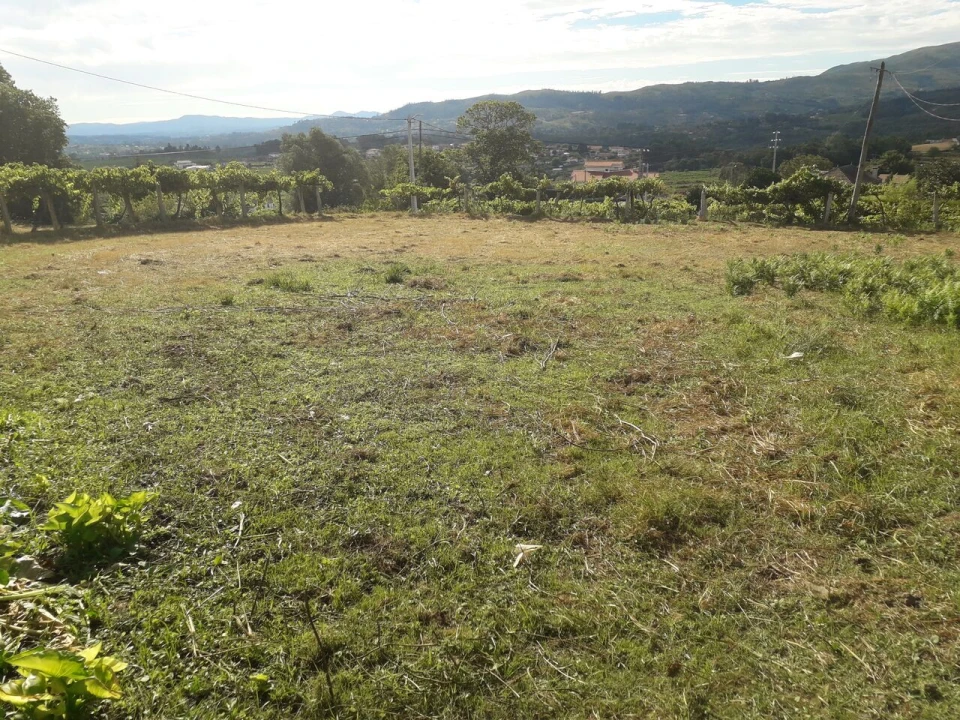 Terreno para Venda em Messegães, Valadares e Sá Foto 1