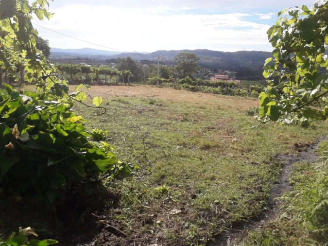Terreno para Venda em Messegães, Valadares e Sá Foto 2