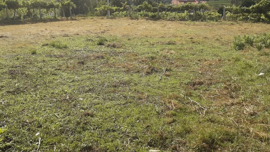 Terreno para Venda em Messegães, Valadares e Sá