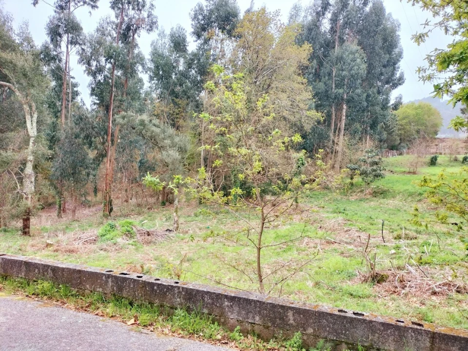 Terreno para Venda em Reboreda e Nogueira Foto 2