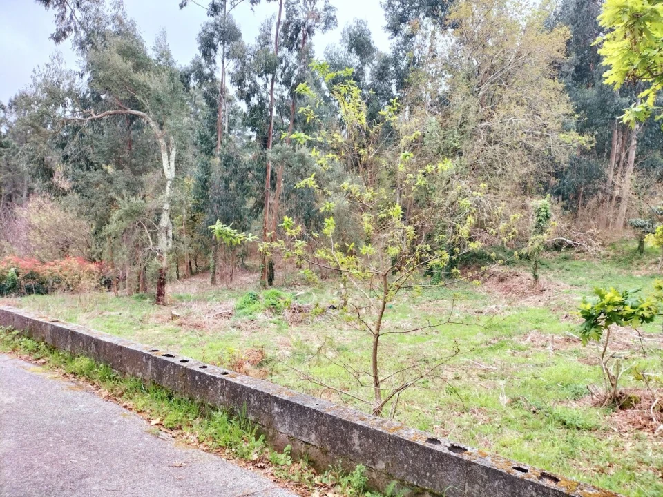 Terreno para Venda em Reboreda e Nogueira Foto 1