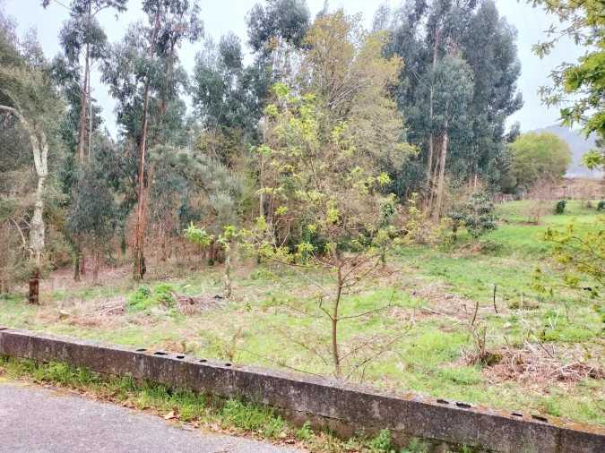 Terreno para Venda em Reboreda e Nogueira Foto 2