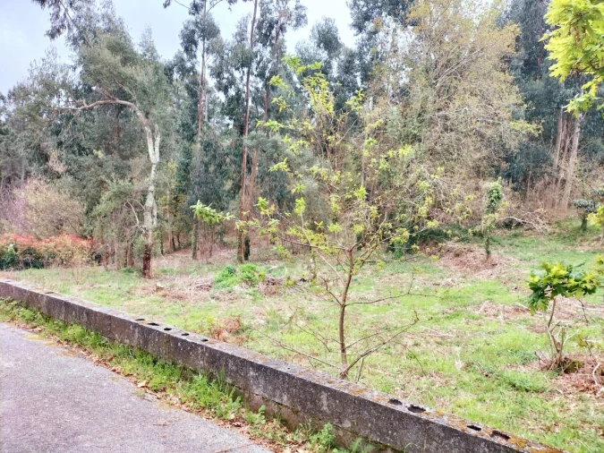 Terreno para Venda em Reboreda e Nogueira