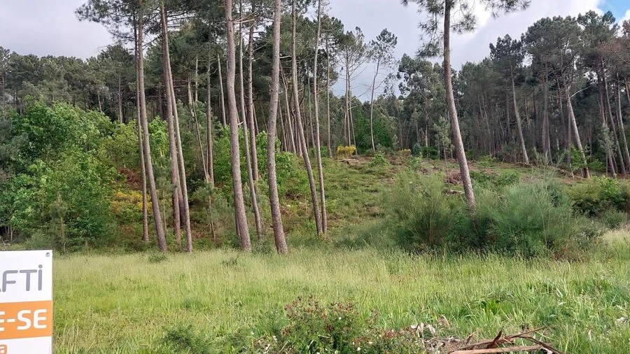 Terreno para Venda em Sago, Lordelo e Parada