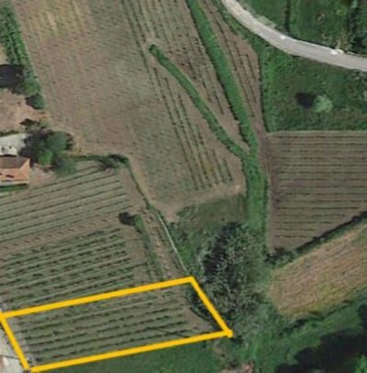 Terreno para Venda em Messegães, Valadares e Sá Foto 1