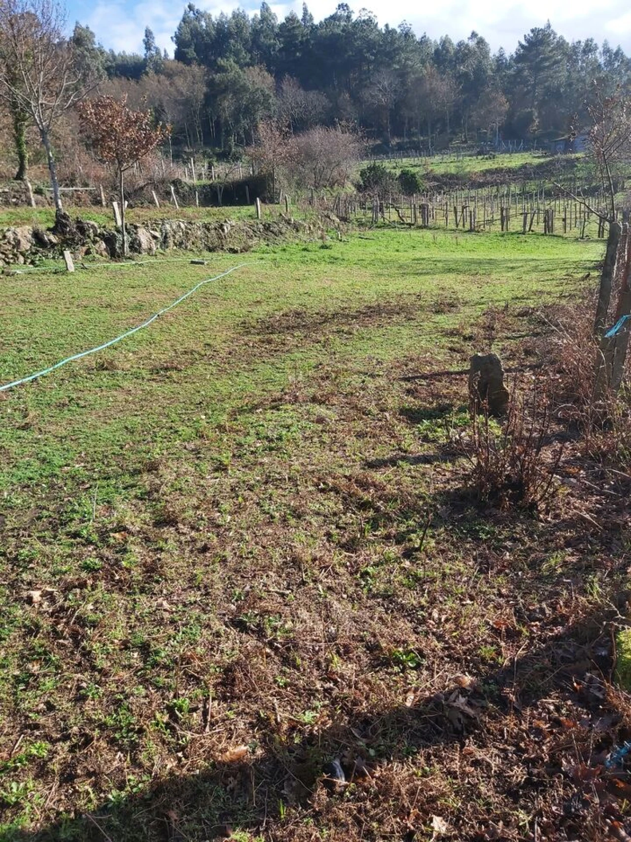 Terreno para Venda em Vila e Roussas Foto 5