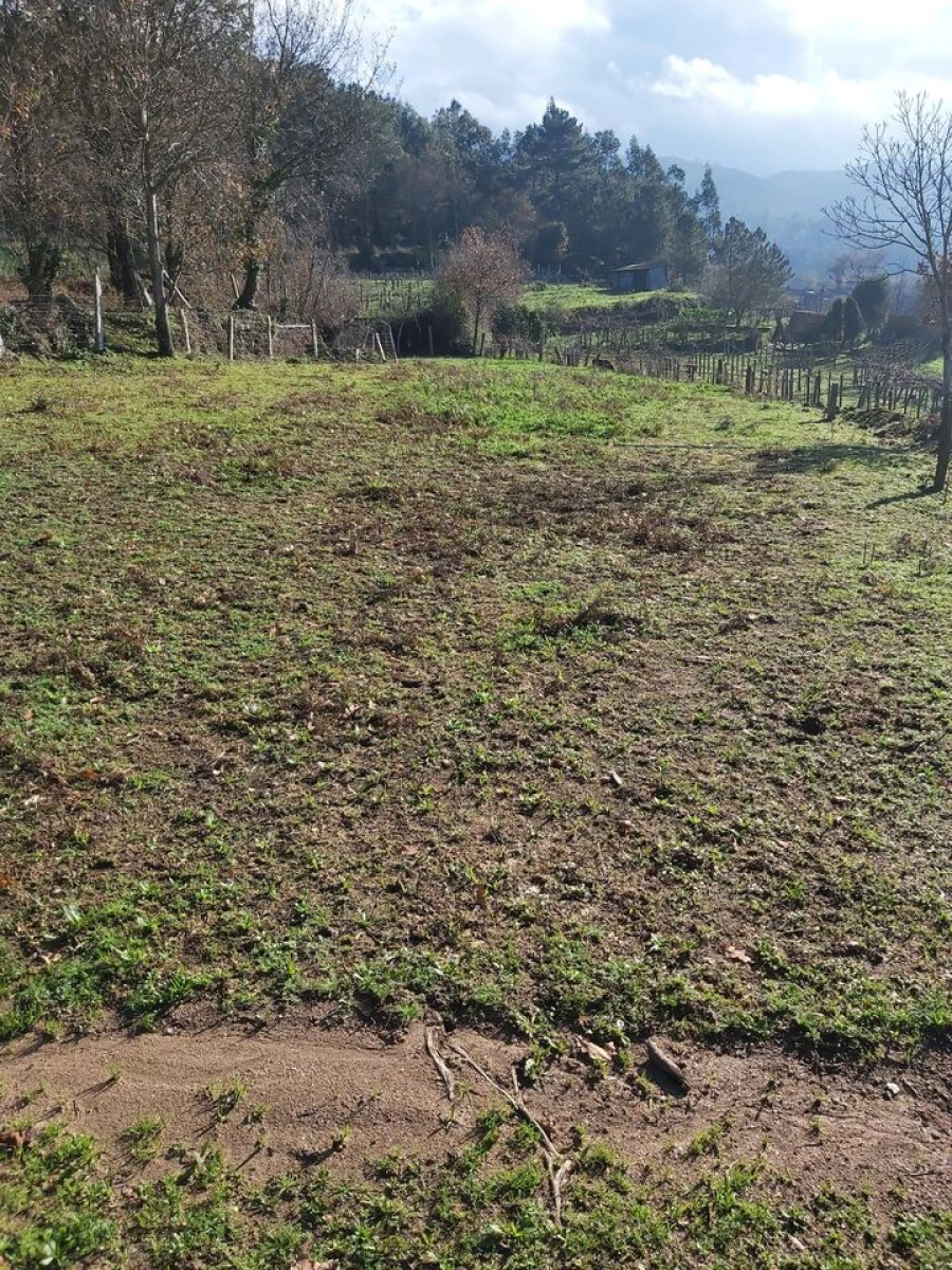 Terreno para Venda em Vila e Roussas Foto 4