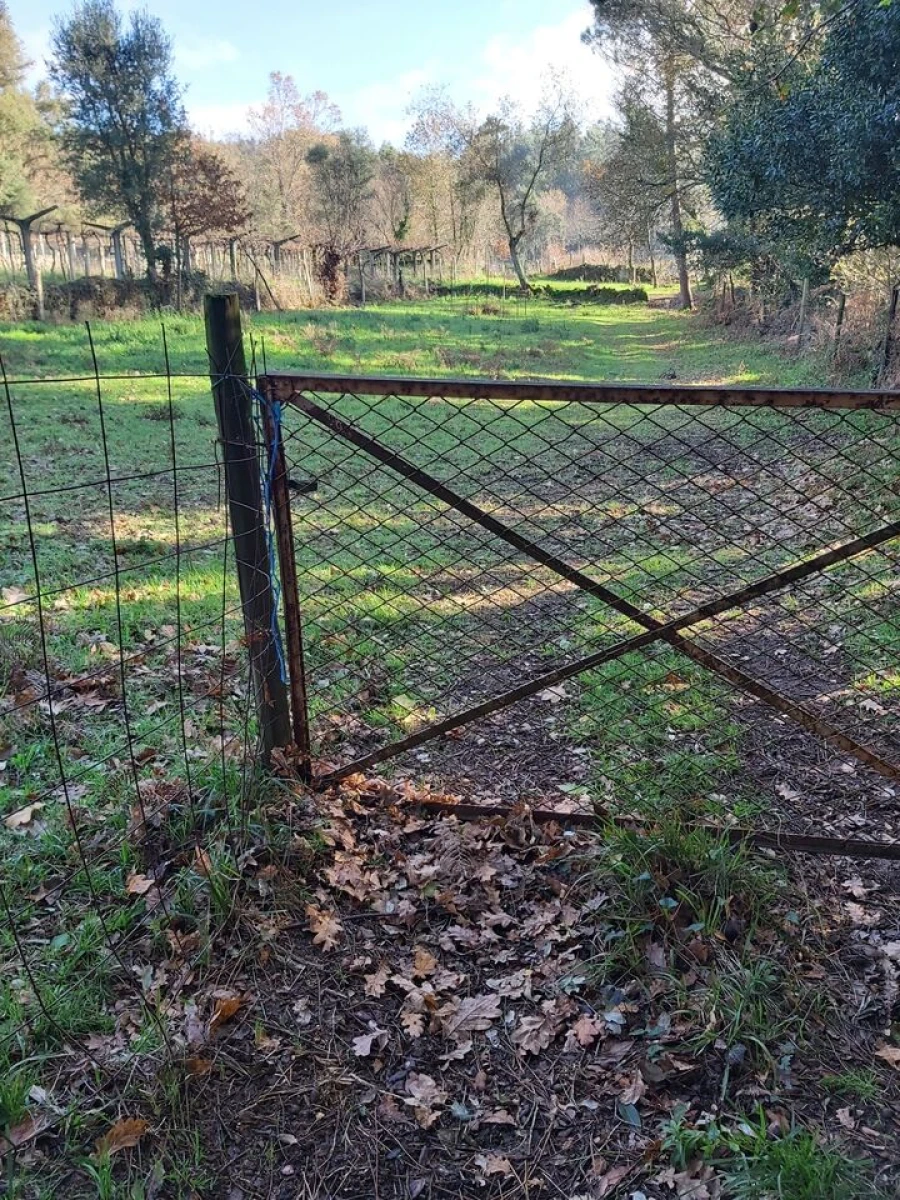 Terreno para Venda em Vila e Roussas Foto 7