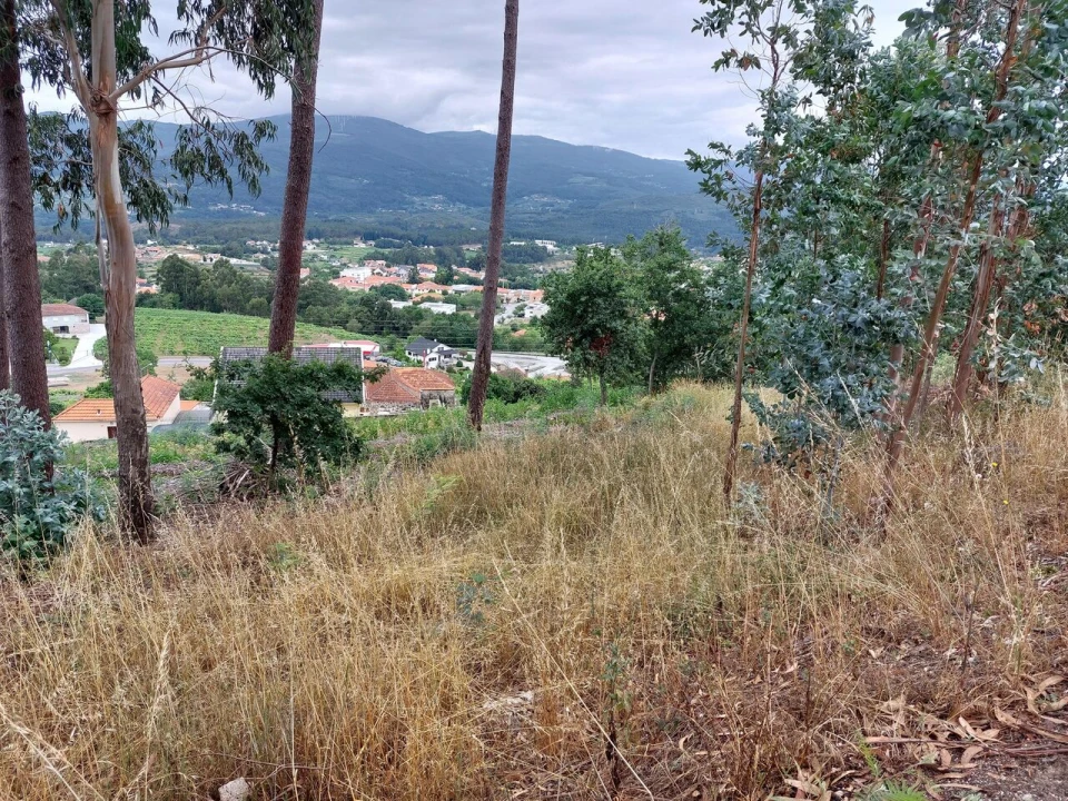 Terreno para Venda em Vila e Roussas Foto 2