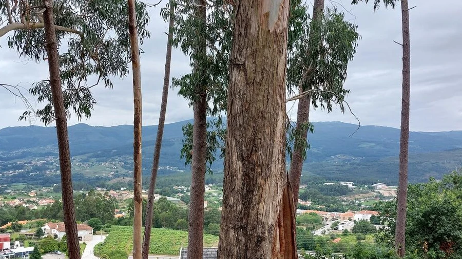 Terreno para Venda em Vila e Roussas
