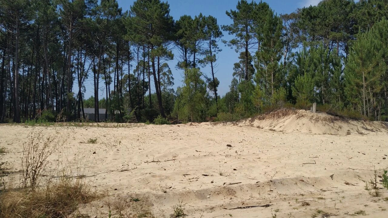 Terreno para Venda em Pataias e Martingança Foto 2