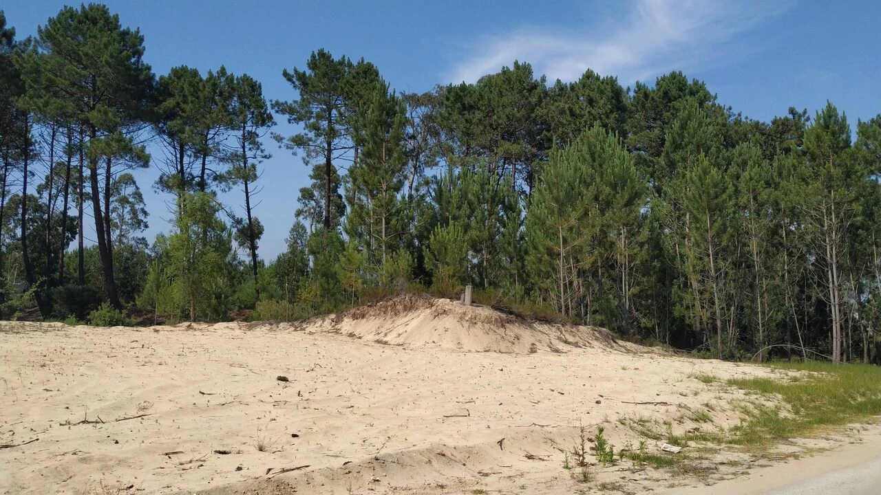Terreno para Venda em Pataias e Martingança Foto 3