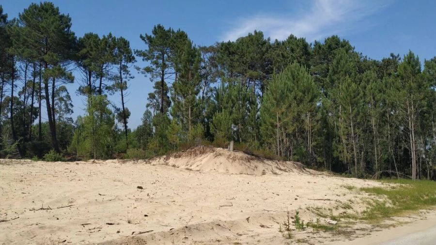 Terreno para Venda em Pataias e Martingança Foto 3