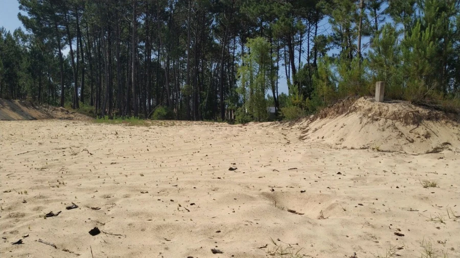 Terreno para Venda em Pataias e Martingança Foto 9