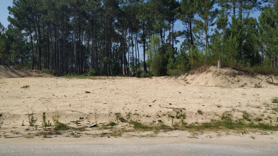 Terreno para Venda em Pataias e Martingança Foto 10