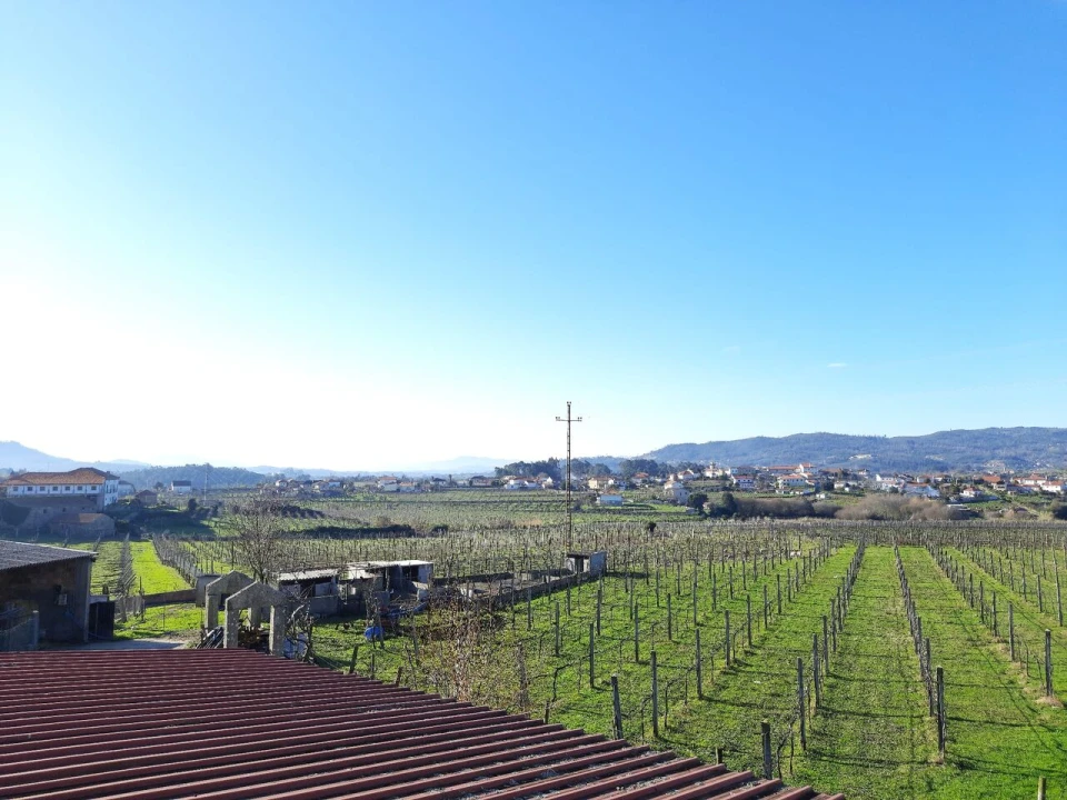 Quinta T4 para Venda em Messegães, Valadares e Sá Foto 12