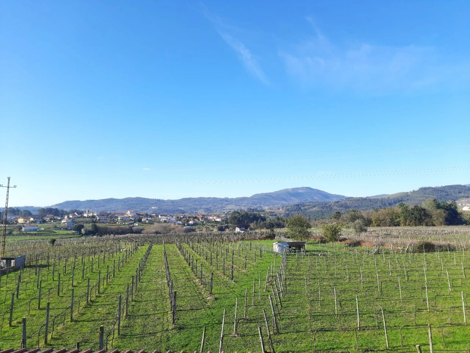 Quinta T4 para Venda em Messegães, Valadares e Sá Foto 2