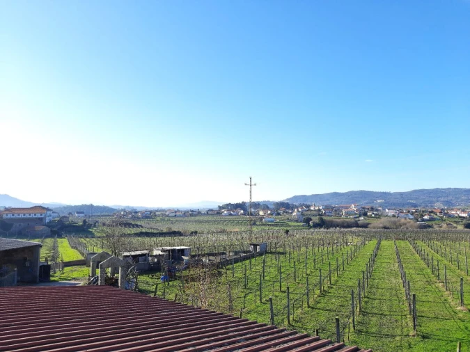 Quinta T4 para Venda em Messegães, Valadares e Sá Foto 12