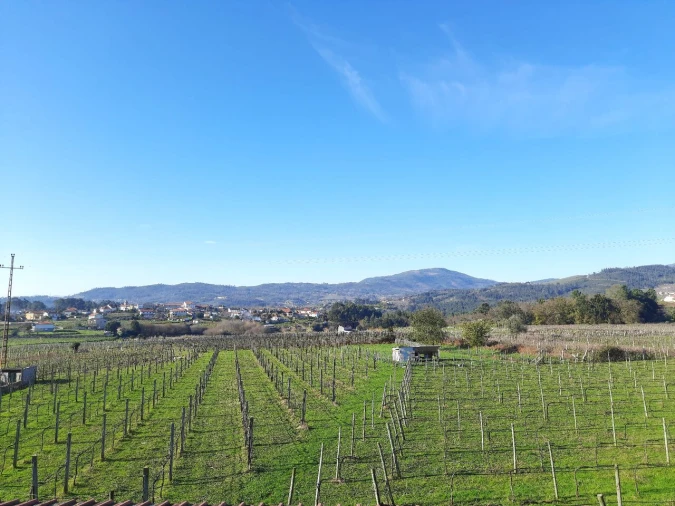 Quinta T4 para Venda em Messegães, Valadares e Sá Foto 2