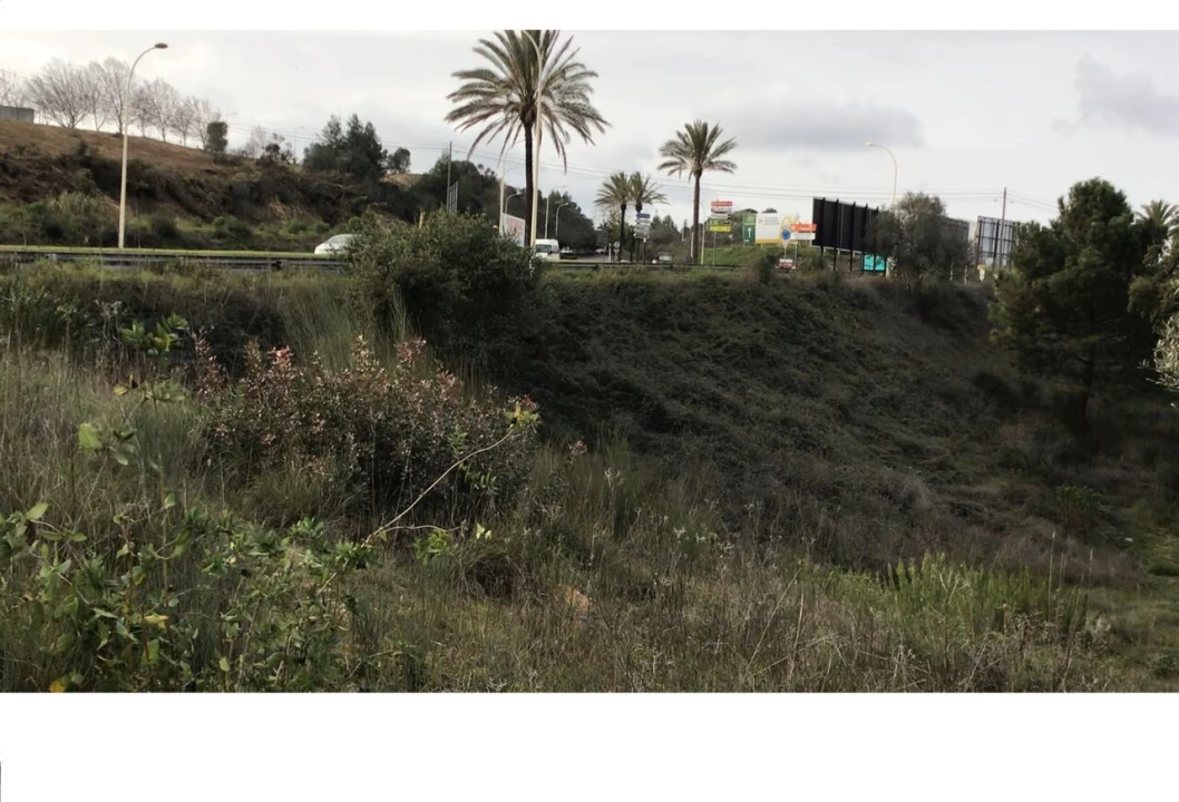 Terreno para Venda em Torres Novas (Santa Maria, Salvador e Santiago) Foto 3