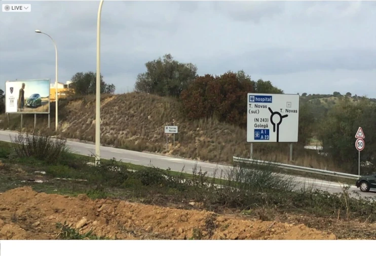 Terreno para Venda em Torres Novas (Santa Maria, Salvador e Santiago) Foto 6