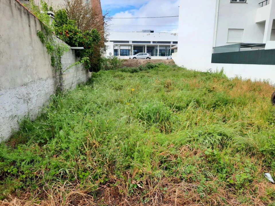 Terreno para Venda em Espírito Santo, Nossa Senhora da Graça e São Simão Foto 2