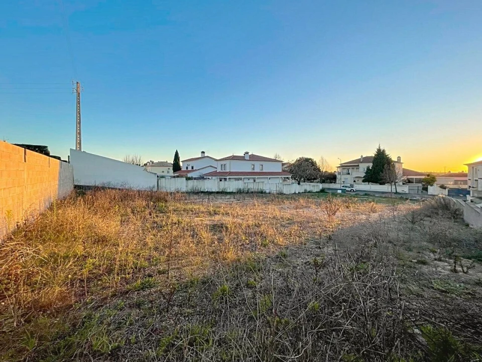 Terreno para Venda em Torres Novas (Santa Maria, Salvador e Santiago) Foto 6