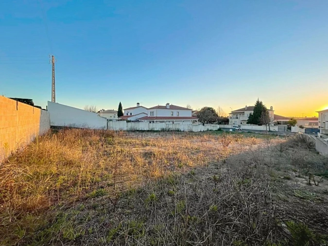Terreno para Venda em Torres Novas (Santa Maria, Salvador e Santiago) Foto 6