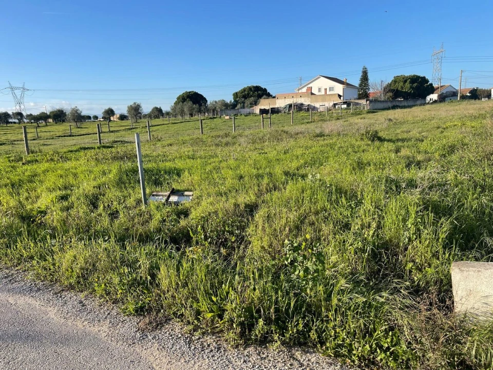 Terreno para Venda em Brogueira, Parceiros de Igreja e Alcorochel Foto 3
