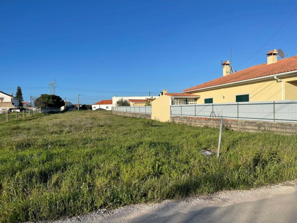 Terreno para Venda em Brogueira, Parceiros de Igreja e Alcorochel Foto 5