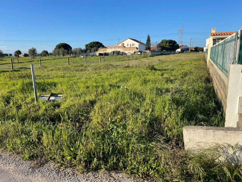 Terreno para Venda em Brogueira, Parceiros de Igreja e Alcorochel Foto 9