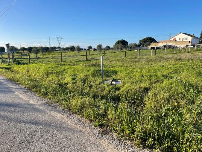 Terreno para Venda em Brogueira, Parceiros de Igreja e Alcorochel Foto 2