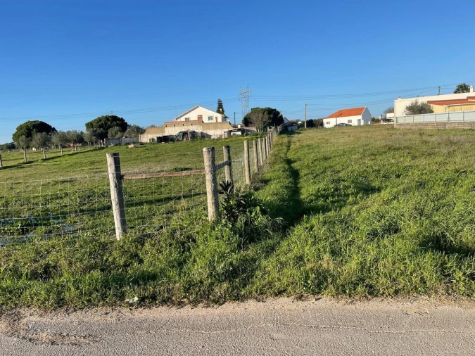 Terreno para Venda em Brogueira, Parceiros de Igreja e Alcorochel Foto 8