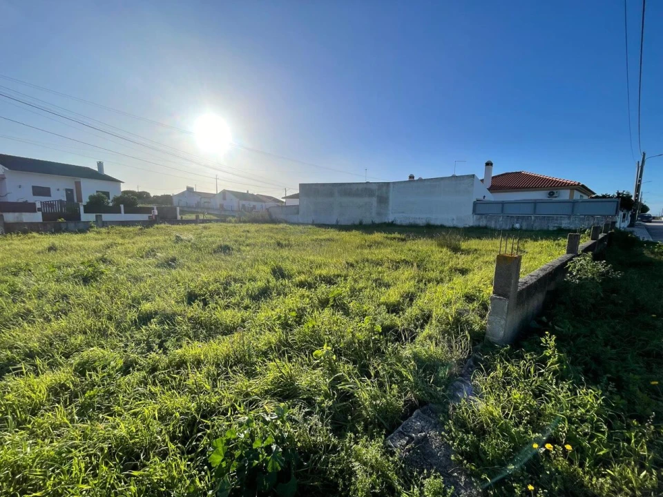 Terreno para Venda em Brogueira, Parceiros de Igreja e Alcorochel Foto 8