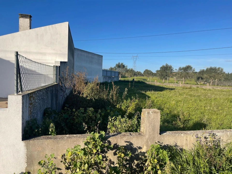 Terreno para Venda em Brogueira, Parceiros de Igreja e Alcorochel Foto 11
