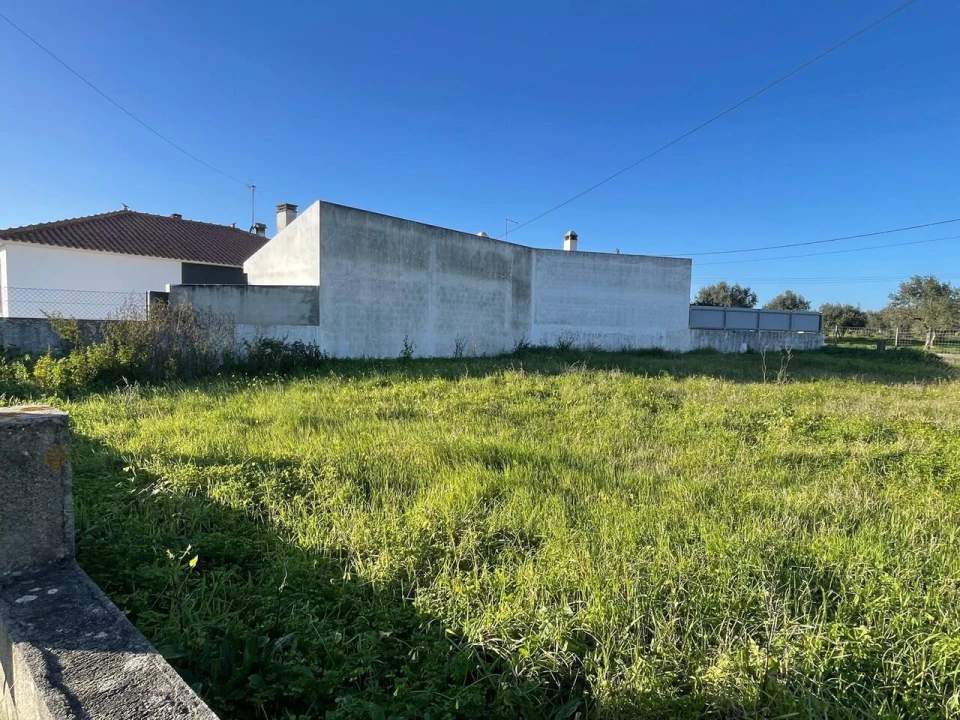 Terreno para Venda em Brogueira, Parceiros de Igreja e Alcorochel Foto 14